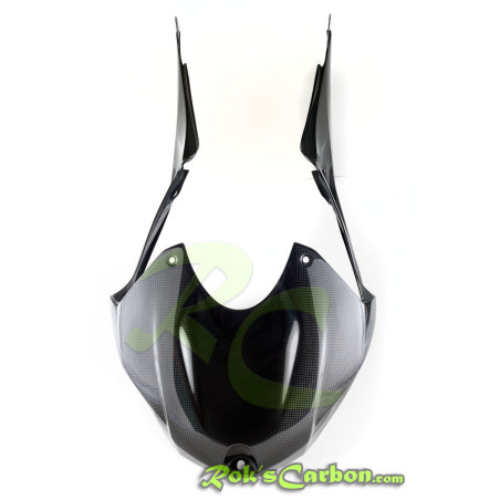 Airbox cover with panels S1000 RR 15