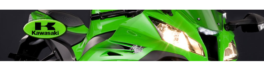 Pièces moto en carbone Kawasaki | ROK'S CARBON