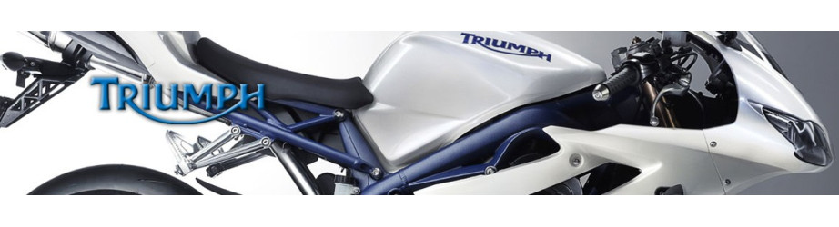 Triumph Carbon Motorradteile | ROK'S CARBON