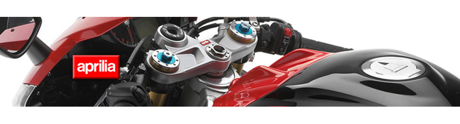 Aprilia Carbon Motorradteile | ROK'S CARBON